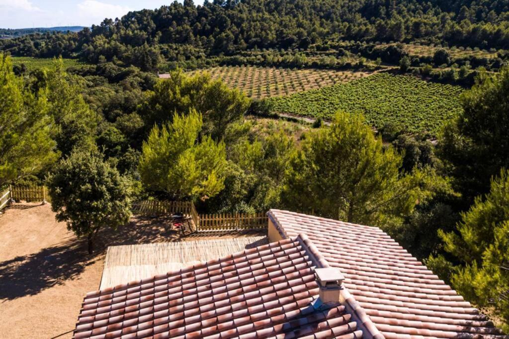 L'Arbre A Soleil Villa Aigues-Vives  Dış mekan fotoğraf