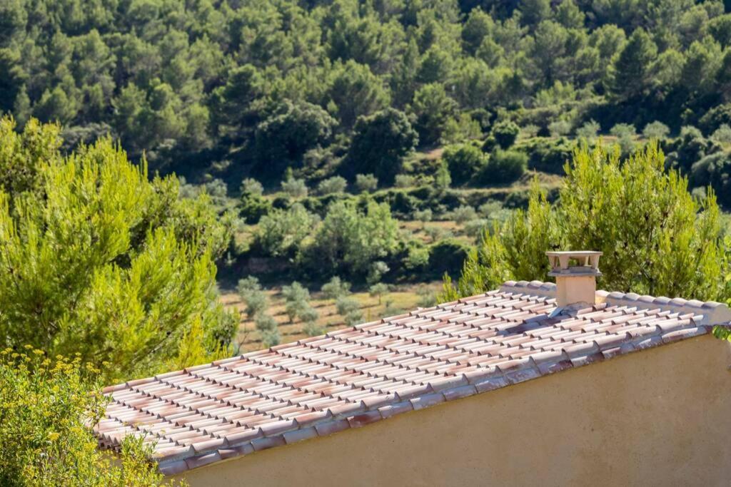 L'Arbre A Soleil Villa Aigues-Vives  Dış mekan fotoğraf